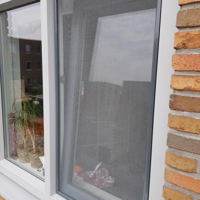 Hollandsehorrenshop Inzethor 10