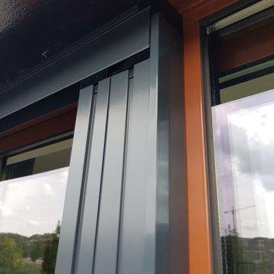 Hollandsehorrenshop Hordeur Optimus 4